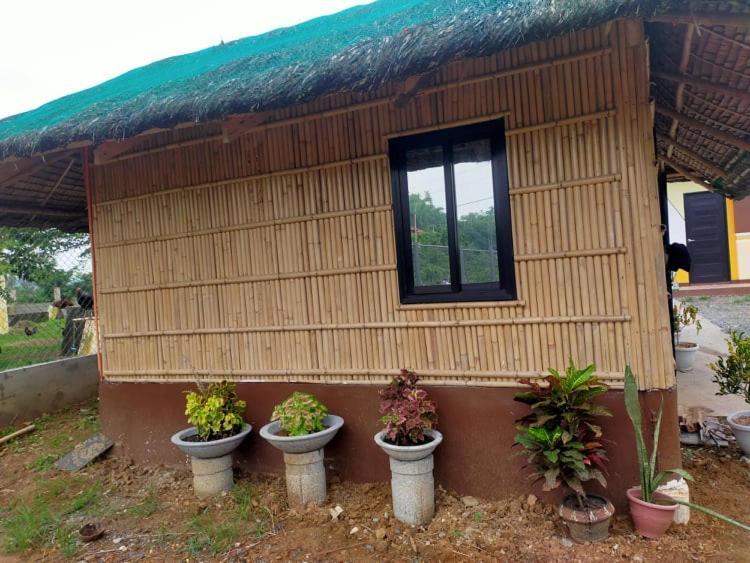 Casa De Flores アラミノス エクステリア 写真