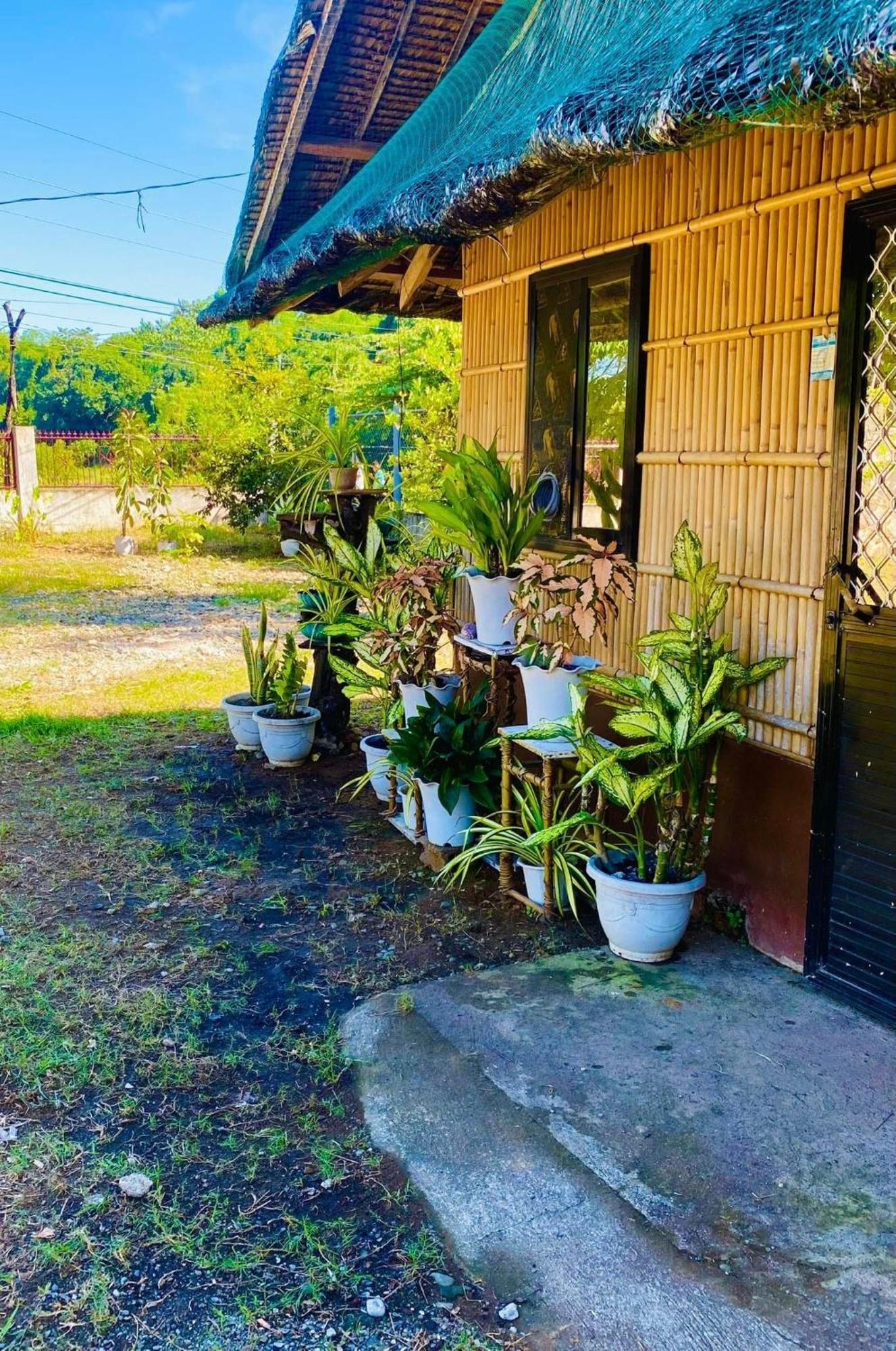 Casa De Flores アラミノス エクステリア 写真